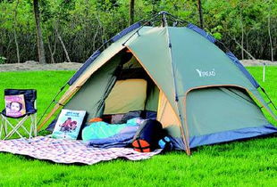 明媚春光催熱大慶踏青經(jīng)濟，戶外用品旺銷垂釣配件成亮點